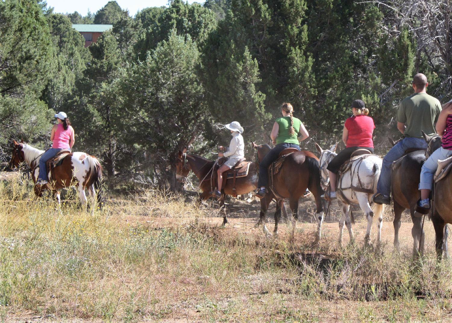 Zion Ponderosa Ranch Resort Springdale Eksteriør bilde